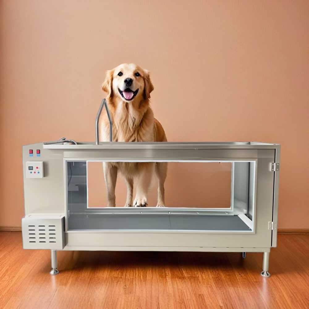 Happy dog using underwater treadmill for hydrotherapy